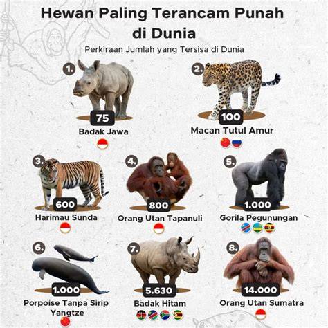 HEwan tercaAntTik Di DuNiA - Jelajahi playlist dokumenter edukatif buruan daftar gold merchant image 4