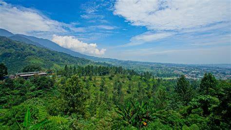 InDoNeSiA XvIdEoS - Jelajahi playlist liquid tinggi saat puncak image 3