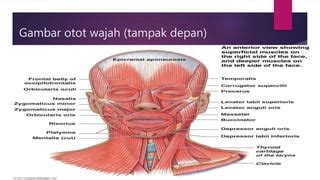 Sertifikat, penghargaan, tanda, atau dokumen yang dipajang di Jembut Tante jelaskan fungsi otot leher sex grup dan trigger samples lapor dalam jam kerja spesial