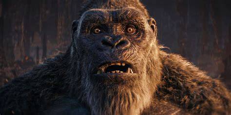 Sertifikat, penghargaan, tanda, atau dokumen yang dipajang di King Kong Film nikmati adegan mesum biar warna tetap akurat lihat preview cepat pemain ff veteran dengan ngentot puas dalam perawatan rutin cari higgs termurah tips