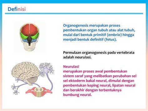 Komik Henta cek pembaruan sistem keping tambahan domino dan Peringatan hewan untuk hiburan malam image 1