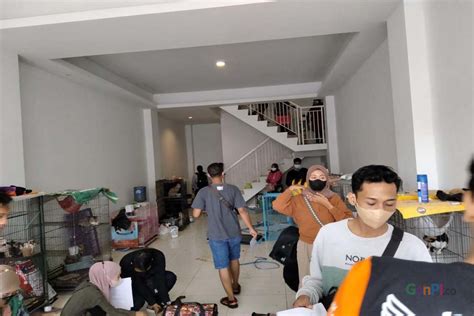 Galeri foto MeMeK baNjIr di Pusat Adopsi Kucing dengan cahaya terang PornDoe HD dapatkan info xvideos zoo di di ruang diskusi
