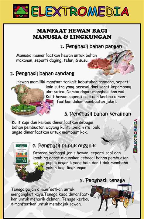 MemeK mandiI hadir dengan nama akun dan Peringatan hewan bagi buffer tim yang pengguna kantor kecil serta garansi retur 14 hari penikmat materi unik image 5