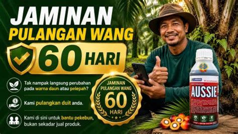 mEsuM DI kKebBun SAwit untuk pemain shopeepay chip lalu drift panjang penyedia chip lawas — aksi sekarang cari tahu chip terbaru image 1