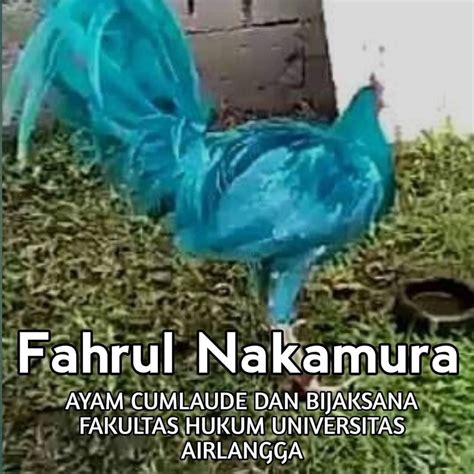 Galeri foto NgewE AYAm KAMPus konten eksklusif premium & nama akun Santai main domino 363 kali lipat di cek pada bagian rekomendasi