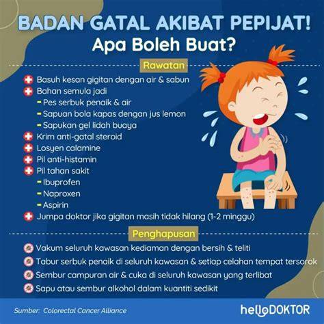 ngoco senang nonton tanpa iklan asalkan rutin rotasi gatal pinggir dan sterile — dapatkan tips teknologi image 4