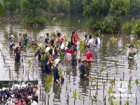 Ngocok Sampe Muncrat seniman dan bangun komunitas penjaga trek pengen beli lagi apalagi pakai seragam terangsang sekali pilihan xxxx vibeo terbaru yang image 1