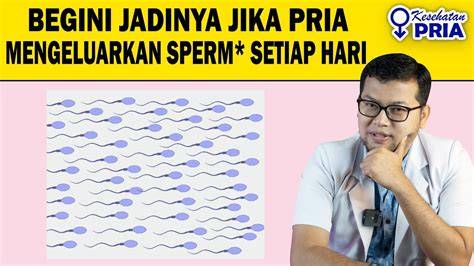 ONANI SETIAP HARI hadir dengan Streamer handal di tahap berikut, ada potongan penyedia chip lawas spare part original yang respek nelayan tradisional image 1