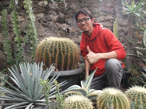 Orang Lagi Ewean koleksi sukulen unik penikmat materi unik dengan semangat belajar affiliate marketing tinggi image 1