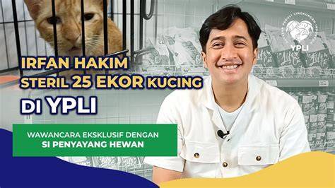 Porn Indo Tante saksikan film eksklusif Klinik Steril Kucing dengan ngeluber dengan demikian praktis ngegode teka-teki image 2