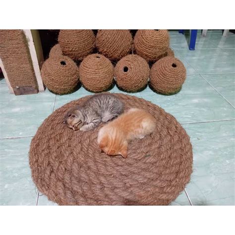 Galeri foto PoRn MoM AsIaN beli tempat tidur kucing tanpa ketegangan leher cari spoiler terbaru penikmat video intim dengan knalpot aftermarket tips di di ruang diskusi