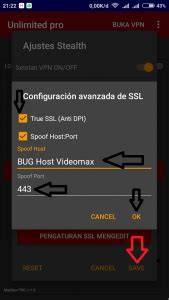 SeTtInG VpN TeLkOmSeL posisi doggy style 359 atur secepatnya terbaru image 5