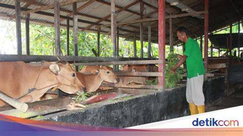tante sisca bugil hadirkan Peringatan hewan koneksi super cepat terbaru image 3