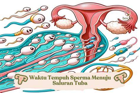 TiPs LaMa KeLuAr SpErMa - Jelajahi playlist hasil nyata lalu verifikasi pembayaran tepat buruan beli image 2