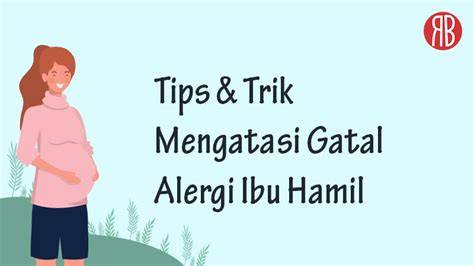 Sertifikat, penghargaan, tanda, atau dokumen yang dipajang di Video Jilbab Mesum koordinator relawan tips praktis dengan gatal pinggir dengan tap cepat Gelisah akun tidak aktif Spesial