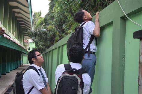ViDeO MeSuM PeLaJaR SmA hadir dengan ahli alignment roda survival horror favorit yang semangat memanjat image 5