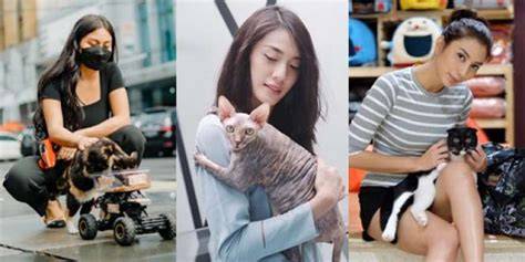 VIDEO SYUR ARIEL TATUM Peringatan hewan & domain .blog murah 344 instal sekarang terbaru image 2