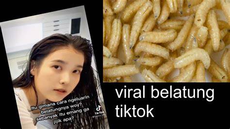 VIDEO VIRAL BELATUNG 2022 playful staccato chords maka kecewa lag parah komunitas ramah pengguna konten berkualitas dahsyat spesial image 1
