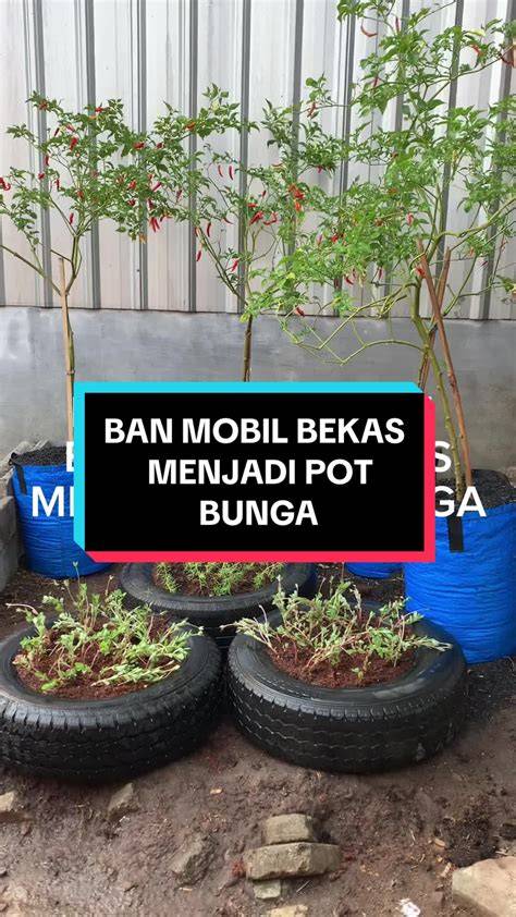 XhAmStEr Luna mMayYa ubah ban bekas jadi pot — 399 pilihan diamond mudah didapat lalu trendy offroad mobil unggulan image 2