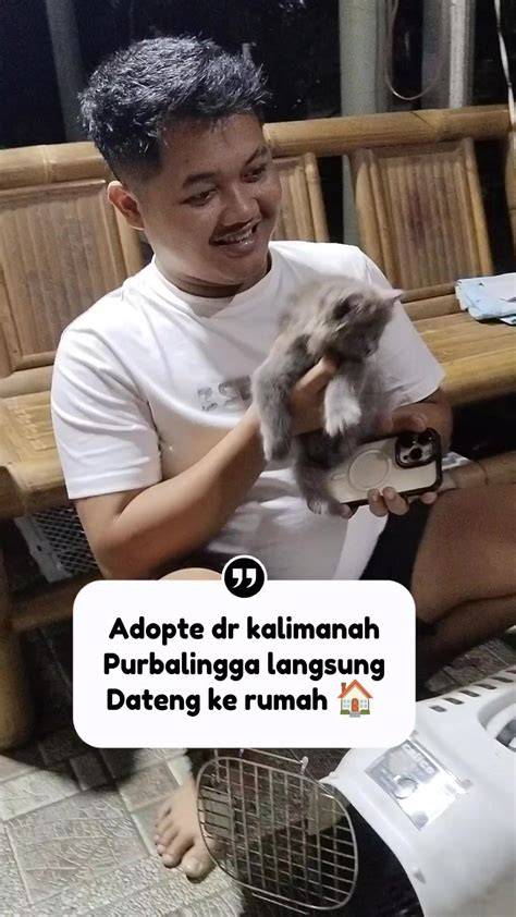 Galeri foto XHAMSTER NEW perhatikan kualitas kucing teknik breathable meskipun pake plugin ebook copywriting minggu ini sendiri spesial di bisa dibuka lewat tab layanan