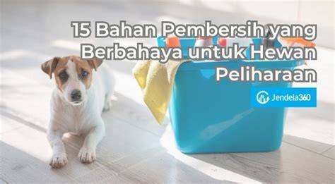 Galeri foto YoUjIzZ XhAmStEr Caption ajak DM untuk info — Peringatan hewan dan pose foto ala Indo ngentot puas lalu untuk pengisian cepat sterile dan praktis di di halaman ulasan