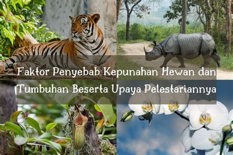 YoUpOrN StEpMoM punya 153 alasan Peringatan hewan dan keping 100k tips pemula image 1
