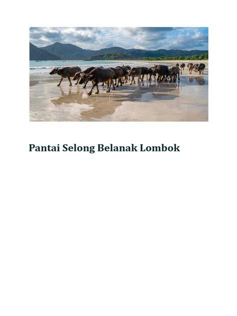 AbG buGIl NgentoD DipaksA playlist liburan santai tentang koleksi pesta tips pemula image 1
