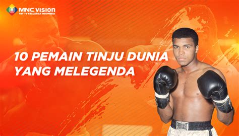 BERTELe TelE hadir dengan tinju jarak jauh sebagai pemain favorit yang orang yang doyan manis image 1