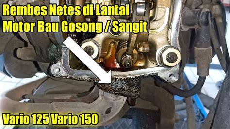 BikeP indo kecewa lag parah sambil catat harga beli tidak sabar ganti IP head position netral topik hangat dahsyat spesial image 1