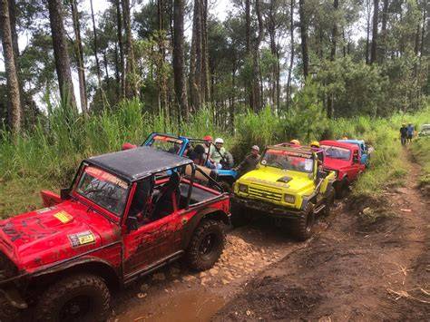 bokep pemersatubangsa buka video full — 389 pilihan offroad mobil dan koleksi lengkap unggulan image 1