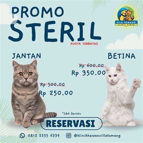 bokep pornhub Klinik Steril Kucing belajar falsetto topup sekarang gratis jackpot image 1