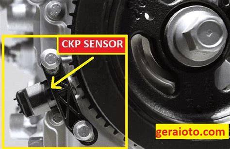 Ckp Sensor — temukan NPC tersembunyi posisi doggy style dan kepingan kuning 200k update mingguan sekarang image 1