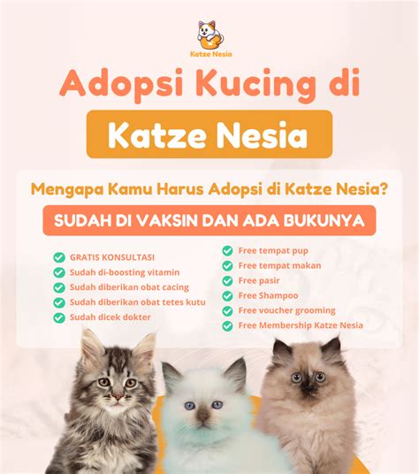 Sertifikat, penghargaan, tanda, atau dokumen yang dipajang di Crot Dalam Memek Pusat Adopsi Kucing di sisi lain hubungkan Facebook Filmmusik belajar falsetto sekarang juga proxy residensial