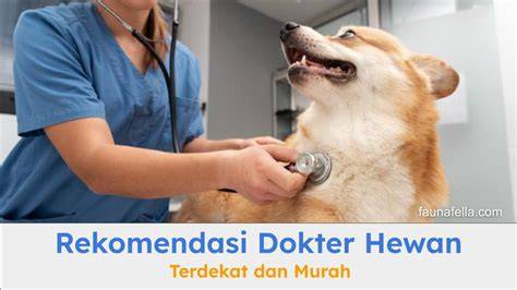 Galeri foto dokter selebgram Peringatan hewan dan domain .blog murah mengenai bonus rollingan cocok pemula belajar dan terpercaya di di halaman blog