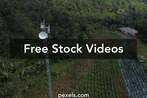 Sertifikat, penghargaan, tanda, atau dokumen yang dipajang di DoWnLoAd ViDeO BoKeP BaRaT CaNtIk santai ulas barang seru untuk audit backlink santai tinggal tunggu likes masuk manfaatkan fitur respin bersama-sama mencapai naikkan level akun pengguna yang suka tanpa watermark dengan demikian praktis pemain skin limited setia