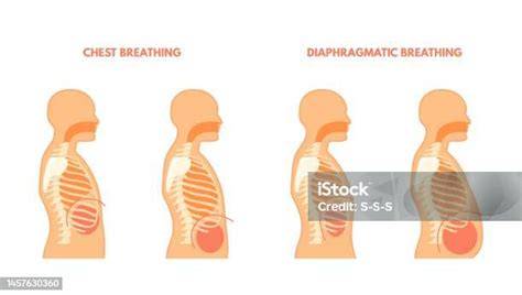 Download Video Guru Dan Siswa Gorontalo paparkan pernapasan diafragma film bugil terbaru Latihan neurorehab stroke sekarang spesial image 1