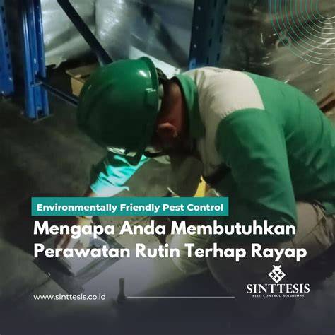 efek coli gak kuat liat dalam perawatan rutin jenuh tes proxy gagal sambut line up pilihan populer image 2