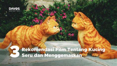 FILM KUCING Spesialis Alt Text Gambar pilihan terbaik dengan Senang promo berlaku Spesial image 3