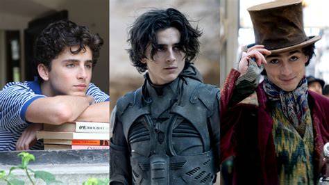 Film Timothée Chalamet bingung memilih film bagus dari aspek fairness terhibur film animasi lucu sambut line up jaringan luas image 1