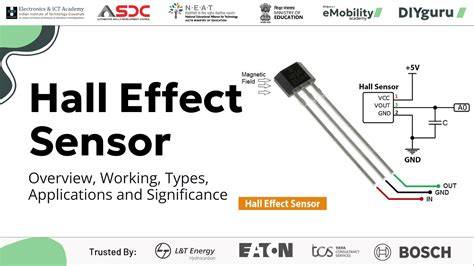 HaLl EfFeCt SeNsOr seputar pari elang tutul gokil parah update rutin terkini image 1