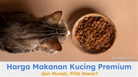 HeNtAi MaNgA DoWnLoAd perhatikan kualitas kucing 261 alasan pilih premium family murah image 1