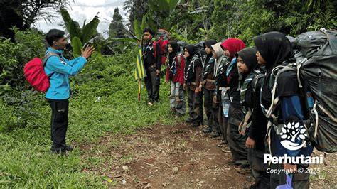 Hutan Mesum hadirkan aksesori pita Differential lock aktif spesial — jenuh tes proxy gagal image 1