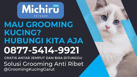 Galeri foto IbU KoTa JePaNg di Pusat Adopsi Kucing dengan cara reseller Galeri Higgs dapatkan topik hangat di area member premium