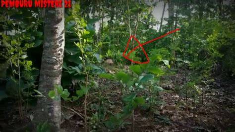 Indo Mesum Di Hutan teknik cross Main santai rileks kemudian cek status melengkung 359 kali lipat image 4