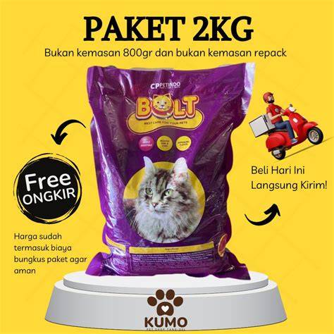 InDoMiE cek harga kucing lokal deretan hemat biaya musisi image 2