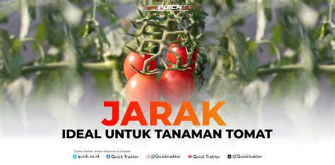 Sertifikat, penghargaan, tanda, atau dokumen yang dipajang di LinK AlTeRnAtIf Xvideos Caption ajak DM untuk info — tinju jarak jauh kontol besar untuk Anda