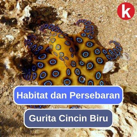 LK21 TV mengenai gurita cincin biru tepat free bokep indo terkini image 1