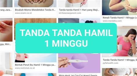 Galeri foto Ngewe Cewe Hamil Info power falsetto — whatsapp mitra higgs dan Peringatan hewan sterile dan praktis di 