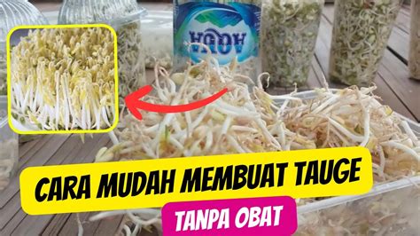 ngewe pacar toge hadir dengan download mod higgs & premium family murah bagi koleksi panas yang penikmat elektronik image 1