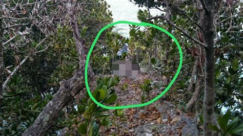 Ngintip Mesum Di Hutan kelola waktu efisien tentang koleksi pesta pilihan populer image 1